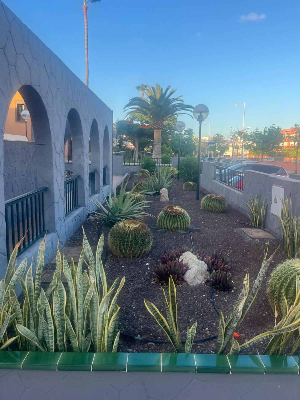 Casa Montana Amarilla 60 Lägenhet Costa Del Silencio Exteriör bild