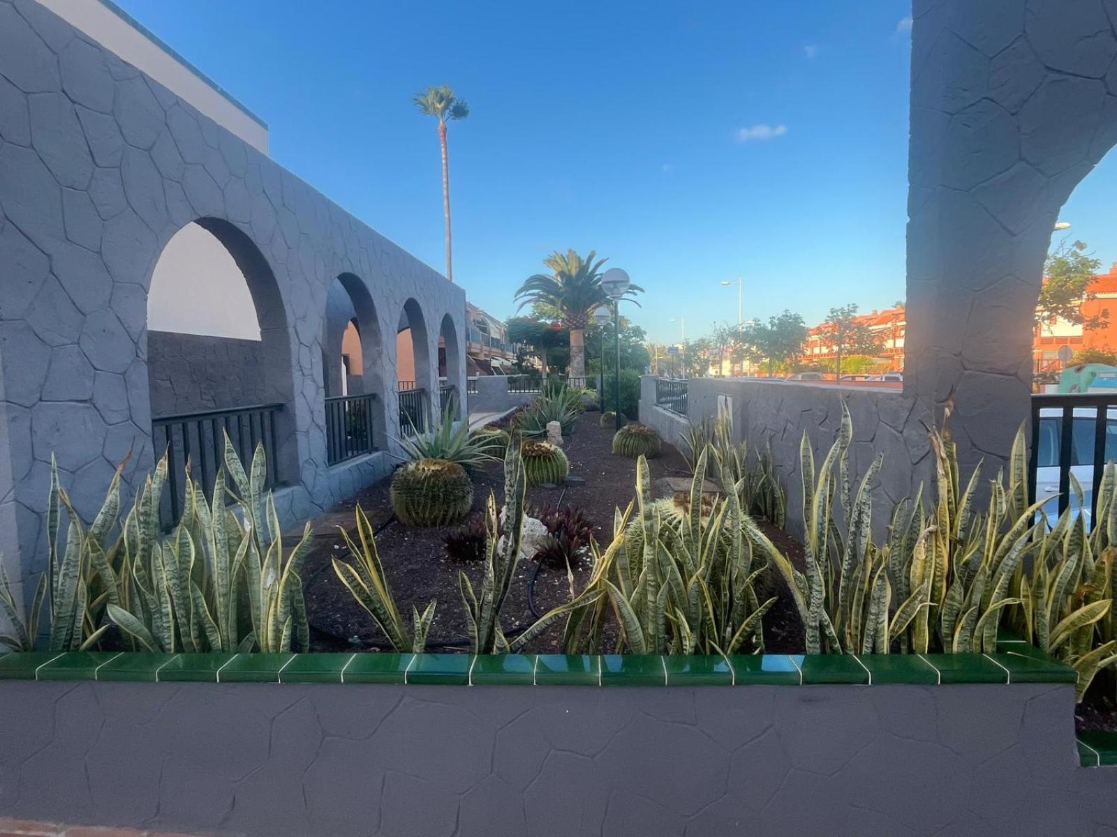 Casa Montana Amarilla 60 Lägenhet Costa Del Silencio Exteriör bild