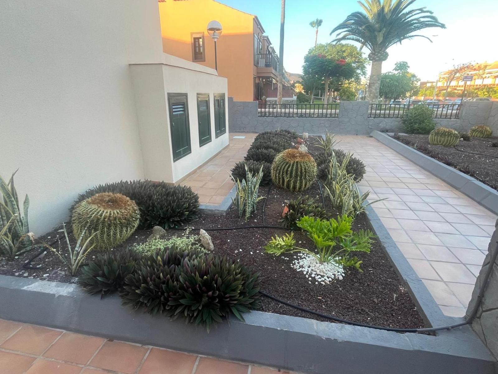 Casa Montana Amarilla 60 Lägenhet Costa Del Silencio Exteriör bild